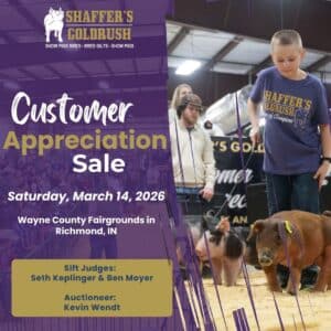 Customer Appreciation Sale