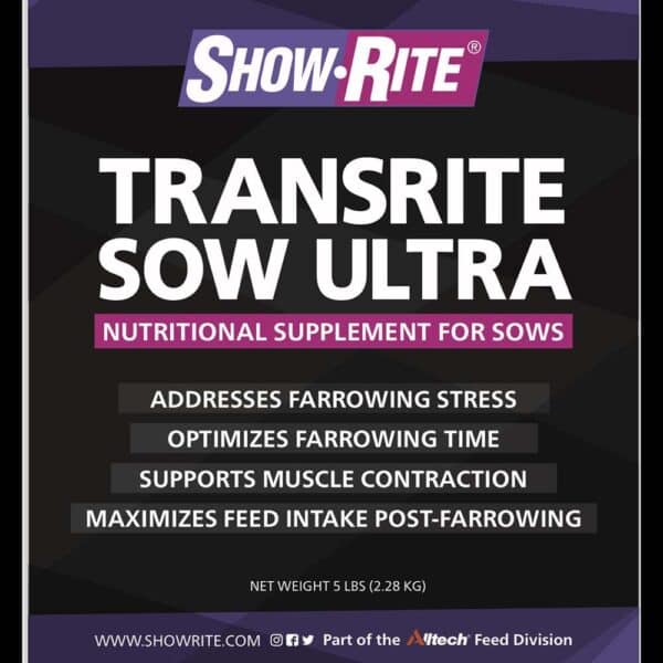 Transrite Sow Ultra - Image 3