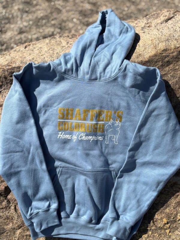 Hooded Sweatshirts - Image 5