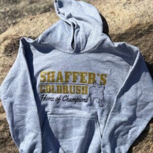 Hooded Sweatshirt- Youth