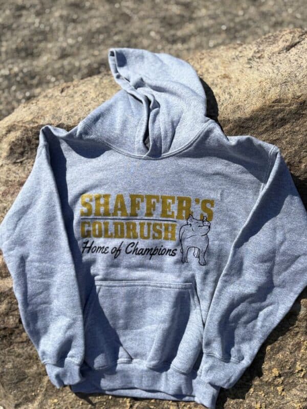 Hooded Sweatshirts - Image 4